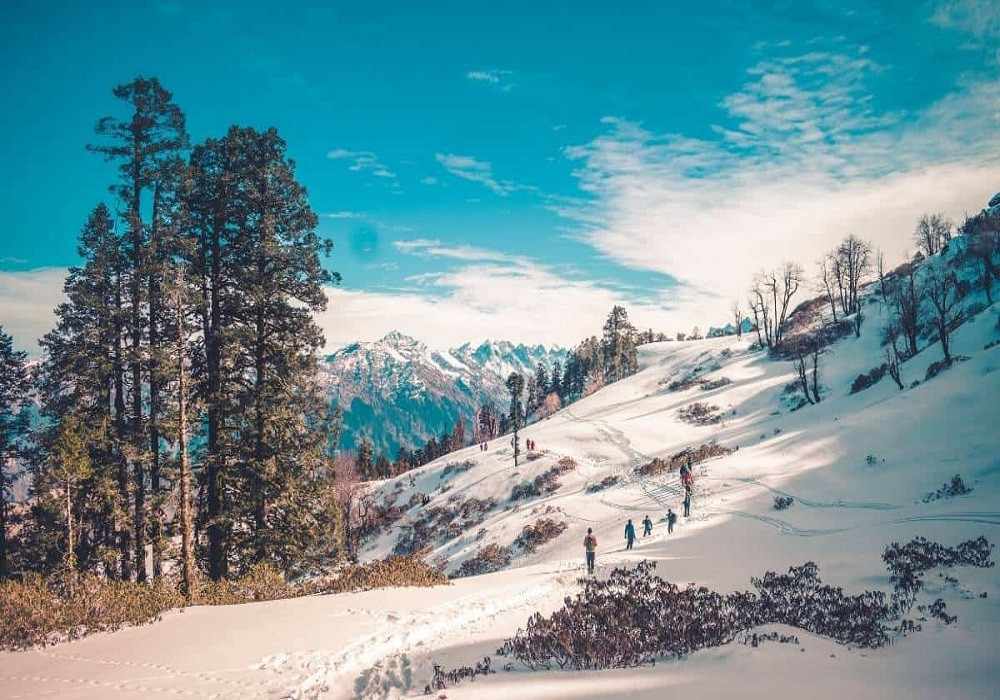 Manali Student Tour Package