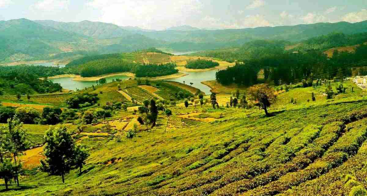 ooty tours and packages